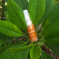 Shampoing Doux 2-en-1 – Nettoyant & Hydratant