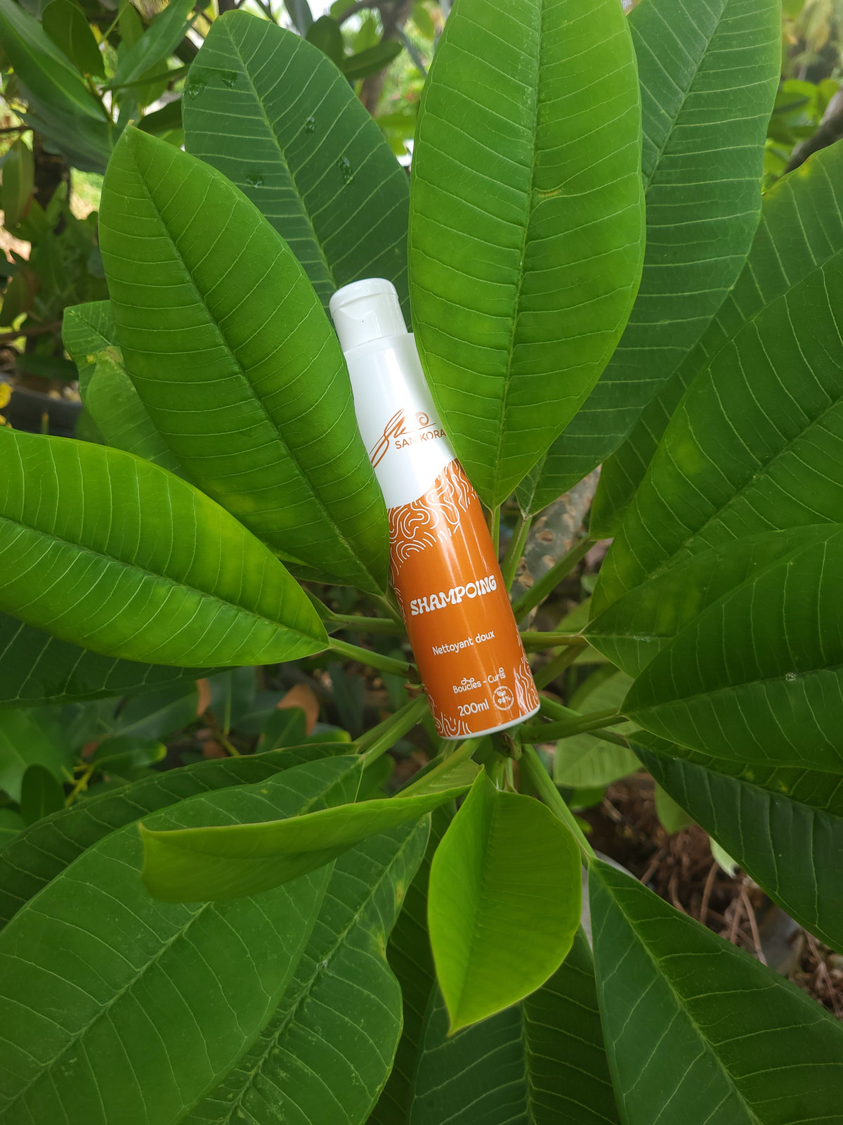 Shampoing Doux 2-en-1 – Nettoyant & Hydratant