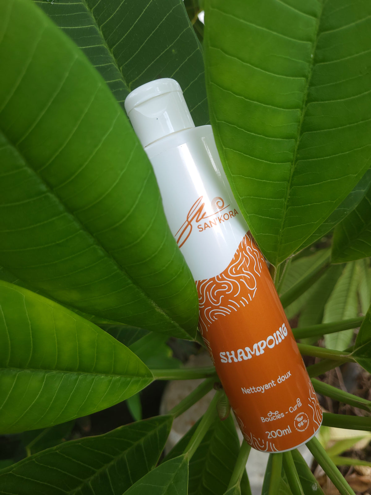 Shampoing Doux 2-en-1 – Nettoyant & Hydratant