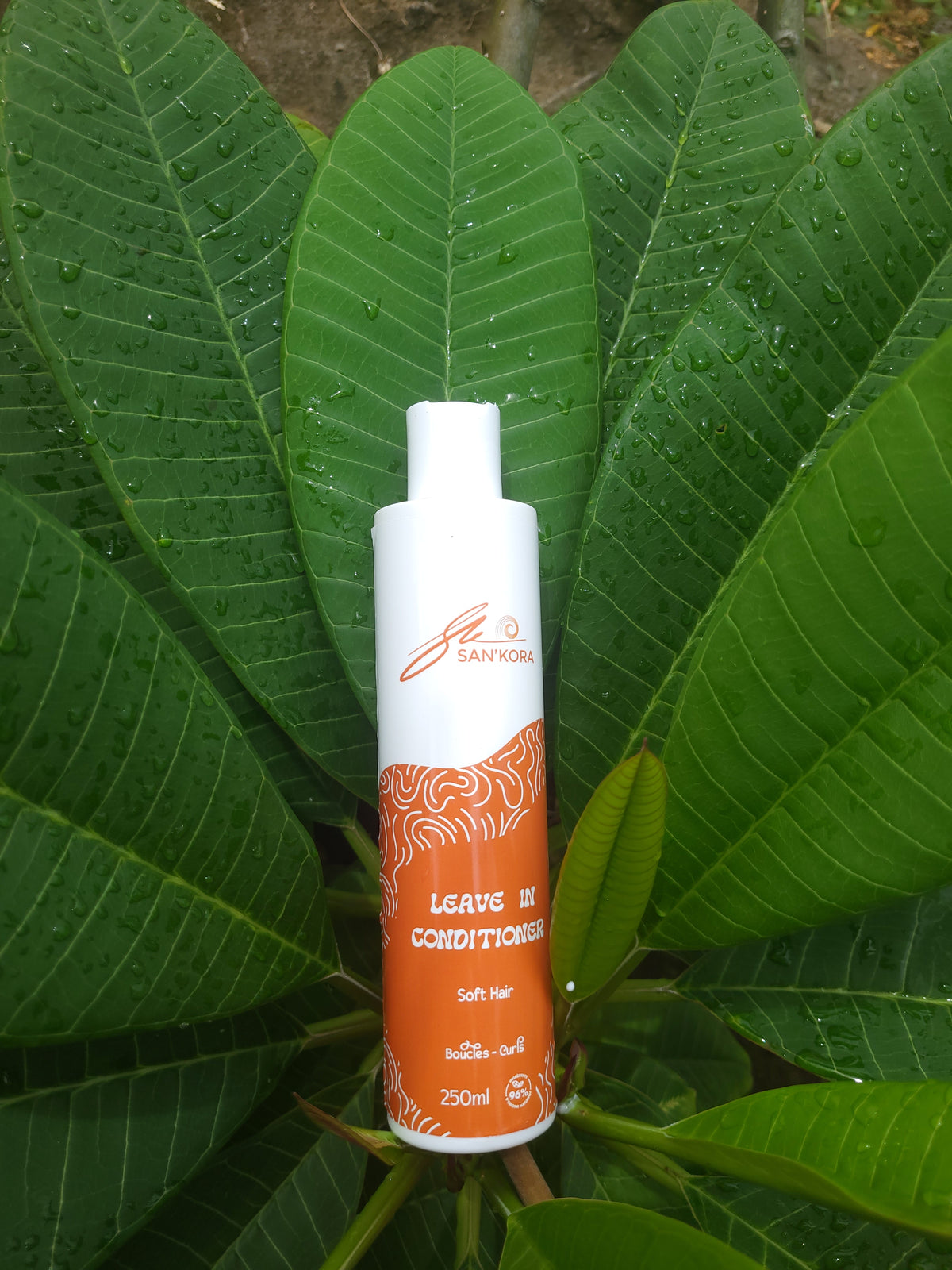 Lait Coiffant | Hydratation & Souplesse